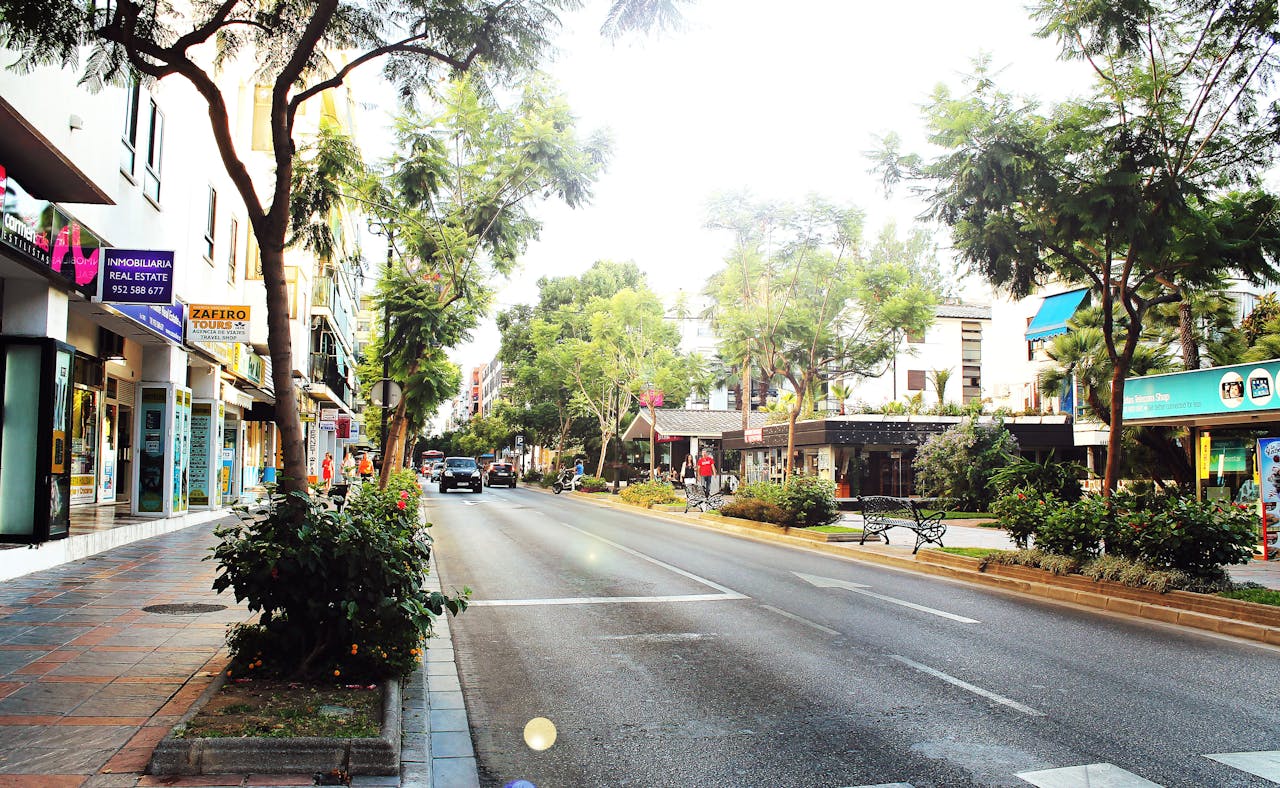 why-choose-us A vibrant city street scene with lush green trees and shops, capturing an urban atmosphere.